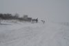 Snow00029.jpg