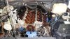 ImageUploadedByTapatalk HD1369211986.183302.jpg