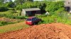 tn_DSC_0095.JPG