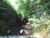 SDC11562.JPG