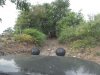SDC11567.JPG