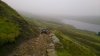 DSC_0749.jpg