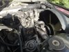 25062008156.jpg