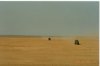 offroading 6.jpg