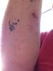 Arm.JPG