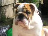 barnesj_A2008830124518.jpg