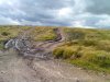 DSC00084.jpg