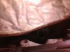 RR 2001 AC tube view IMG_20150604_093131.jpg