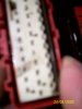100_0457.jpg