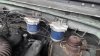 FuelFilters.jpg