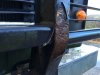 Bumper-4.jpg