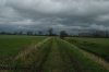 DSC_0012.jpg DSC_0012.jpg