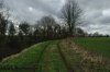DSC_0013.jpg DSC_0013.jpg