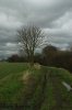 DSC_0017.jpg DSC_0017.jpg