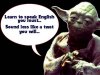 normal_yoda_77435873465.jpg