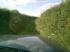 Laning200609002.jpg