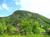 IMG_7595.jpg