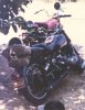 53bmwb.jpg