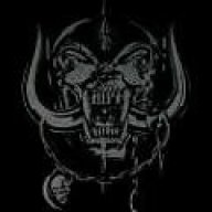 Blackdog