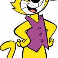LittleTopCat