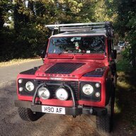 landyandi71