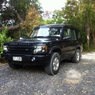 Disco rod