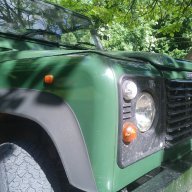 Greendenteddefender