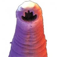 Intestinalworm