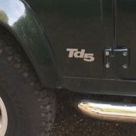 Sedge TD5