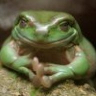 frog