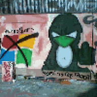 krzakx