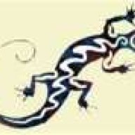 Lizard