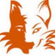 WideEyedFox