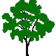 Woods