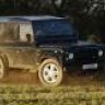 landy g
