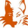 WideEyedFox