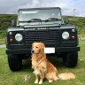 defendertd5