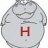 Hippo Bottomus