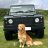 defendertd5