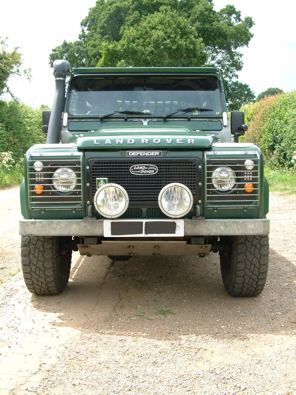 007 GRILL AND HEADLIGHTS.JPG