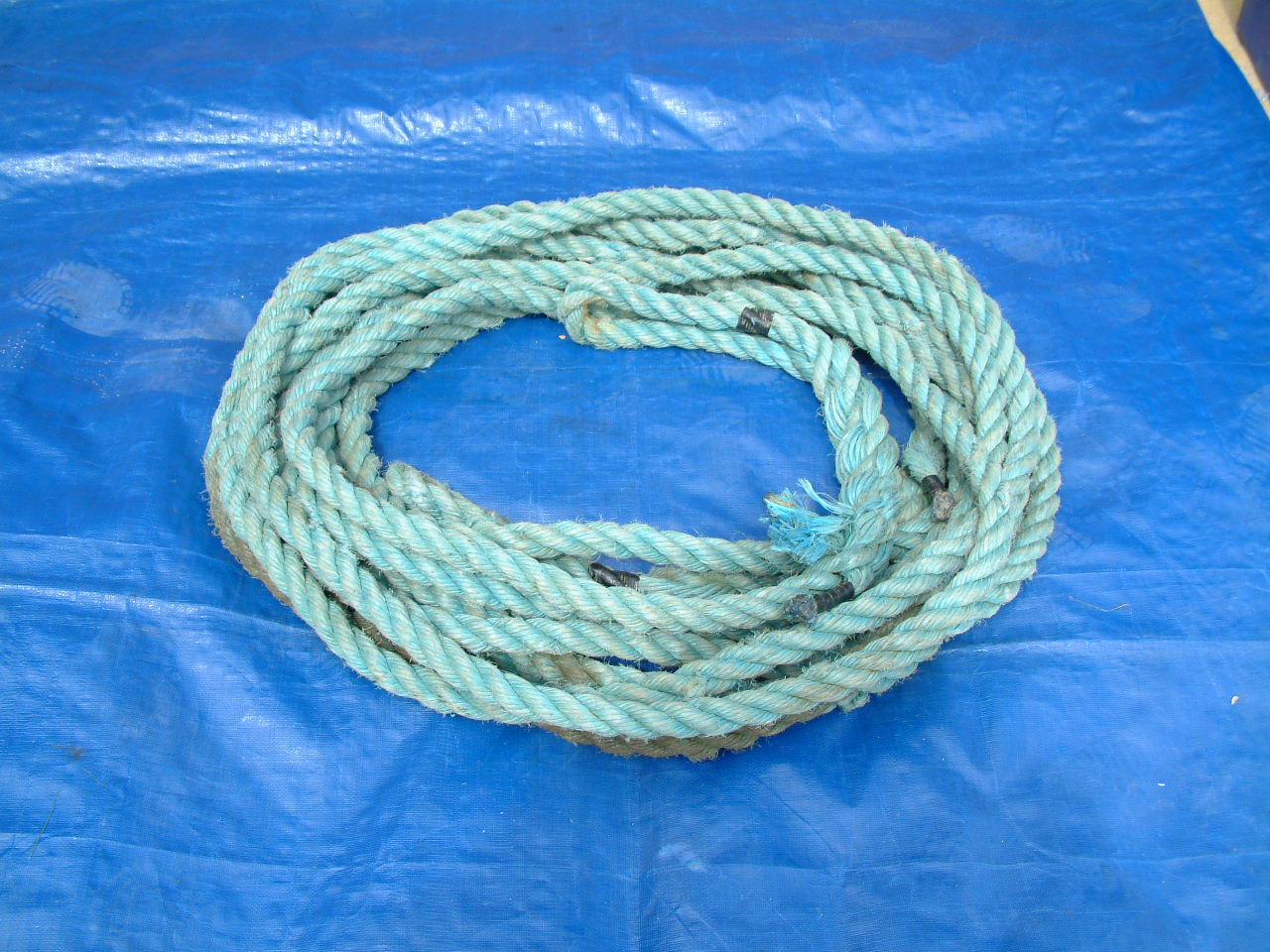 021 20M POLLY ROPE 1.JPG