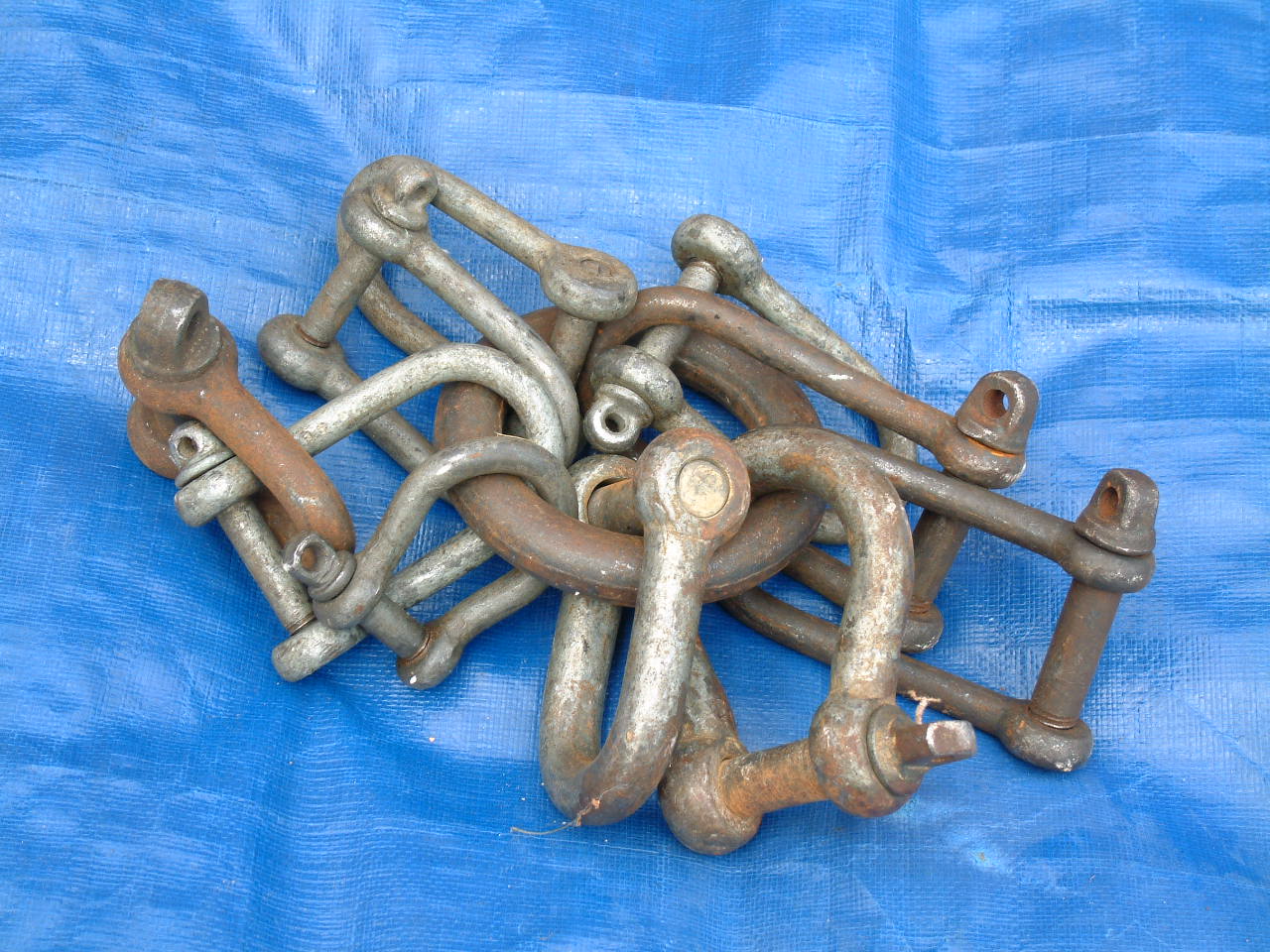 027 SHACKLES 1.JPG