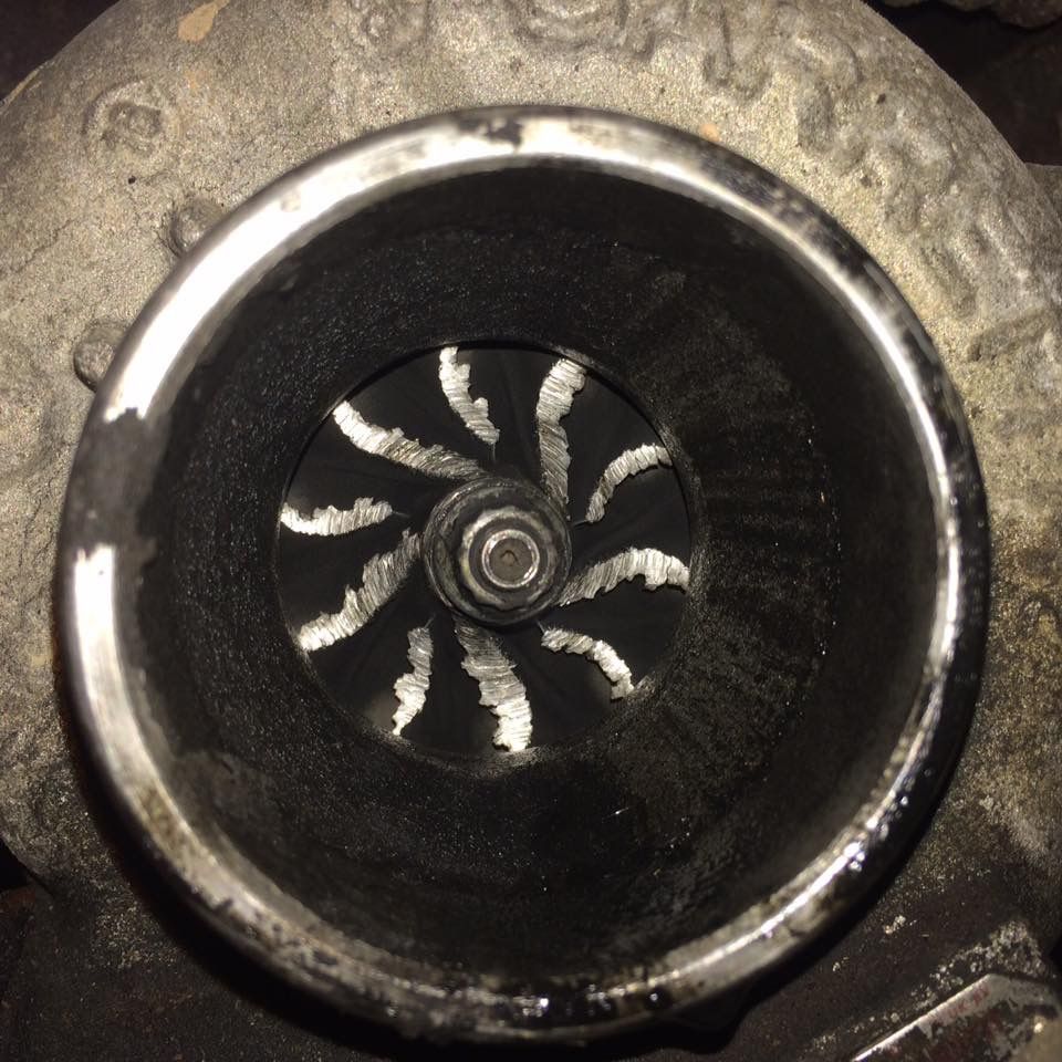 054A7ADA-579E-40DB-85CA-D2D917C7EC32.jpeg