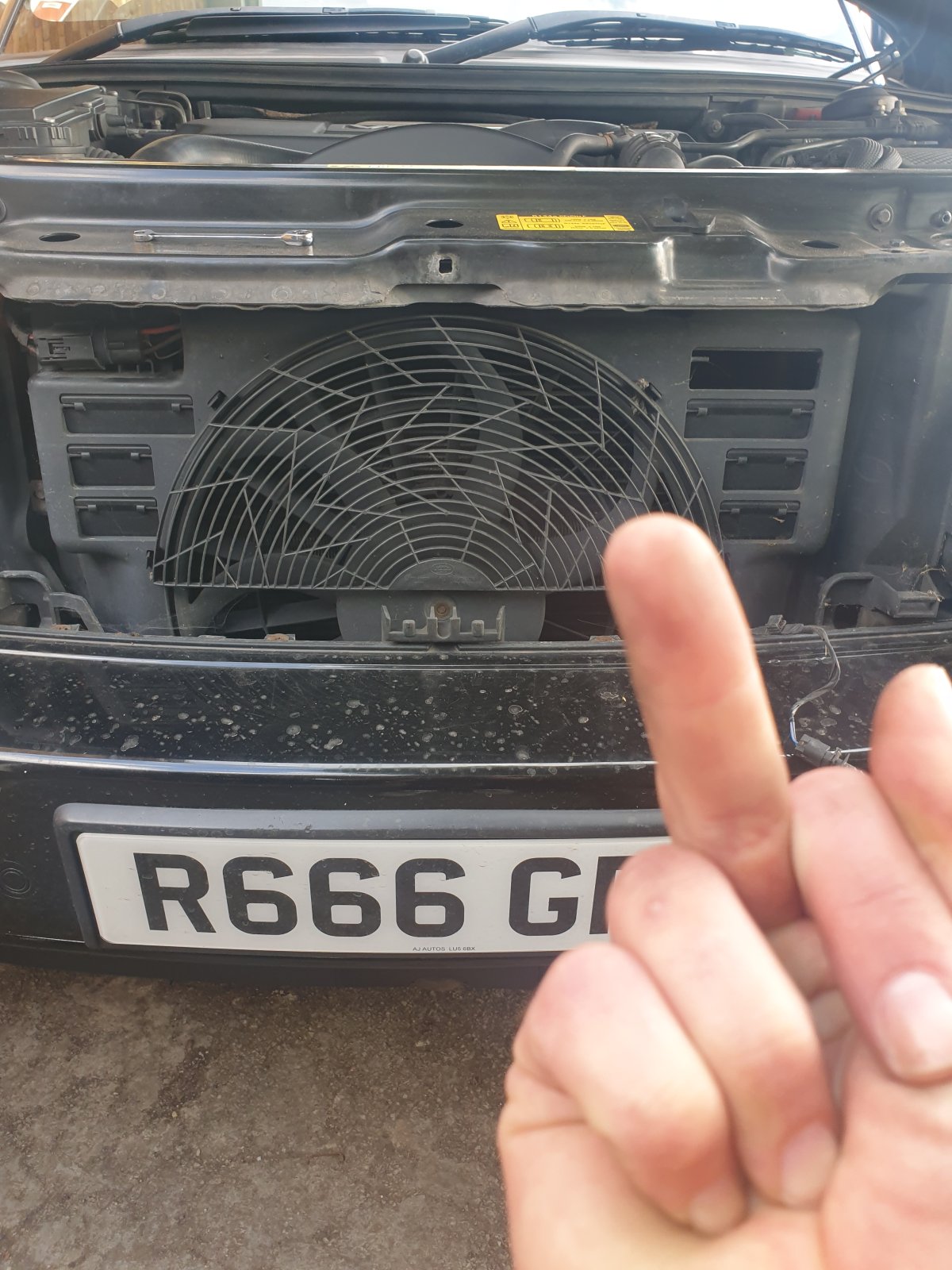 16903029293685191525892779216749.jpg