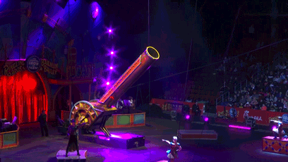 1700077503242.gif