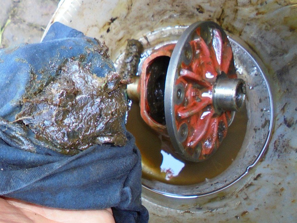 1965 series 2a station wagon degreasing new differential cage3.JPG