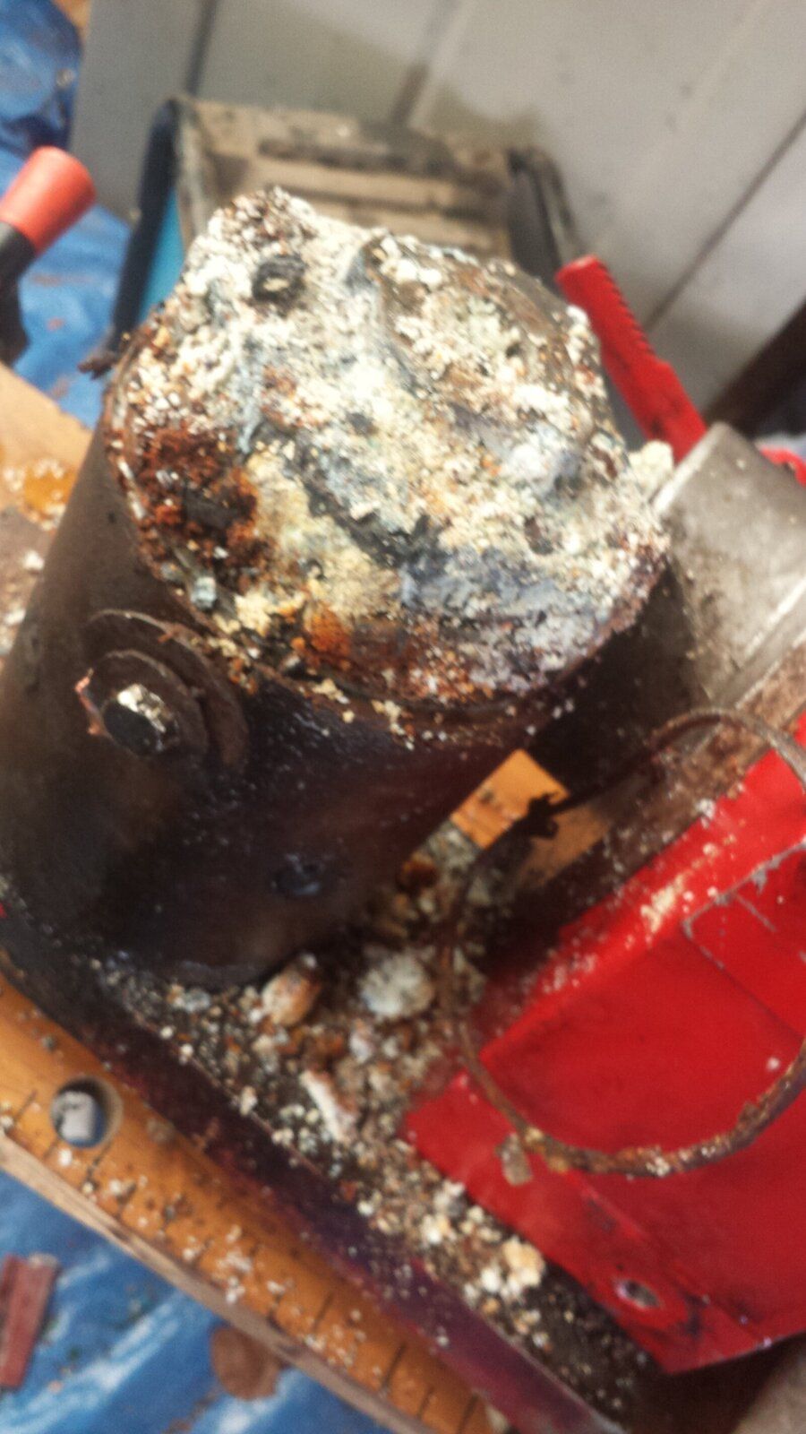 20160504_113947.jpg