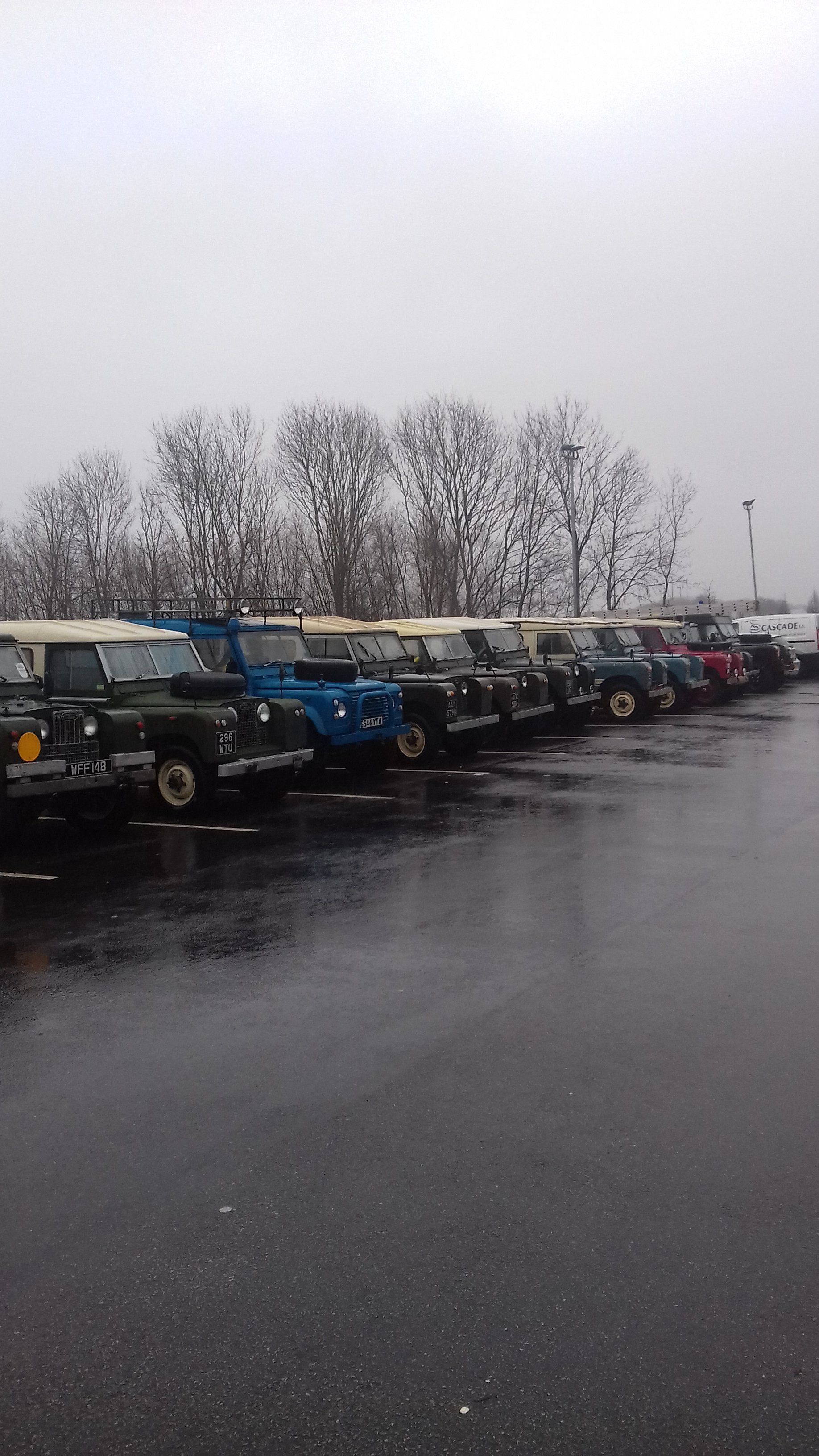 20170115_132556.jpg