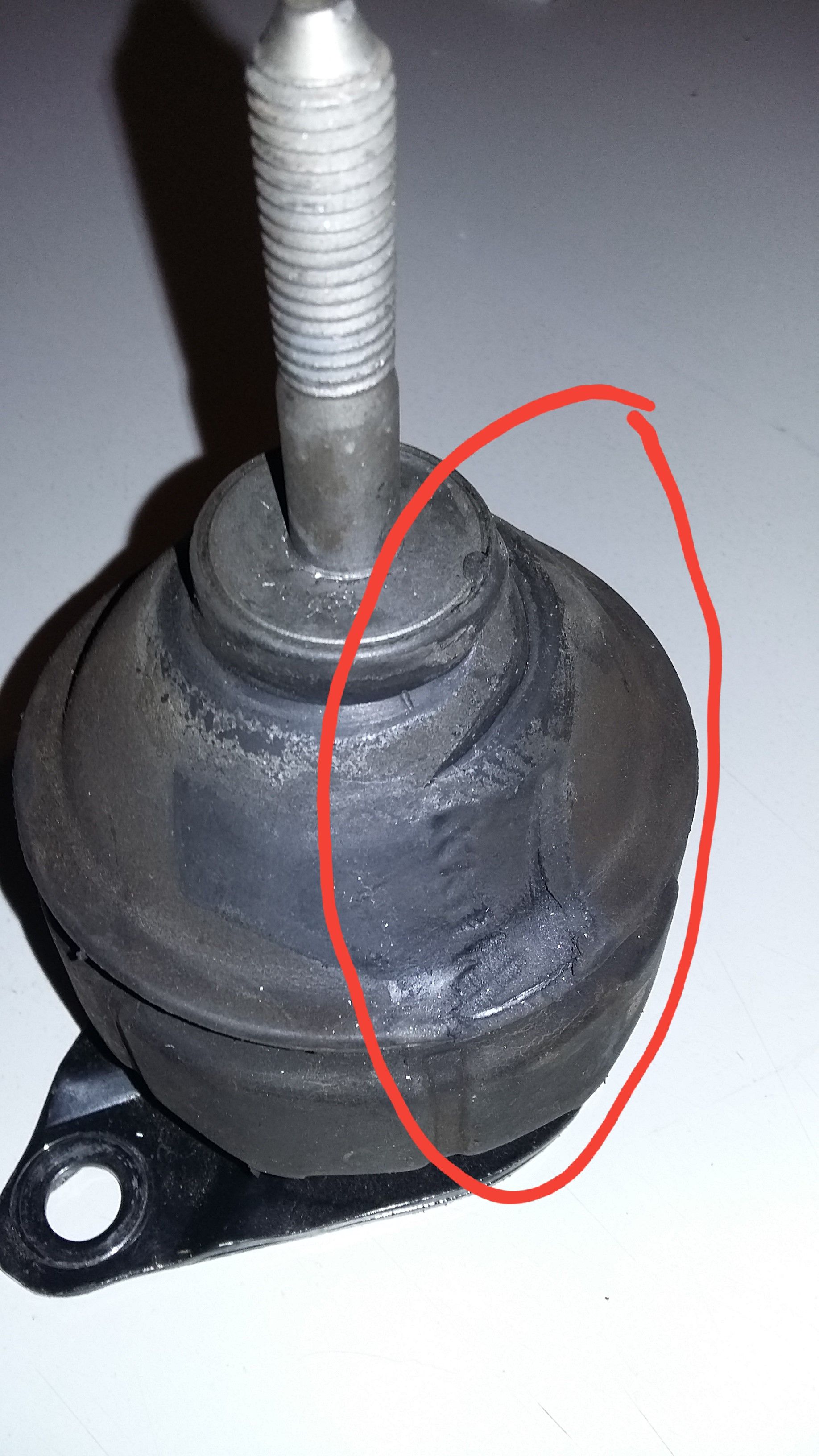 20171108_092510.jpg