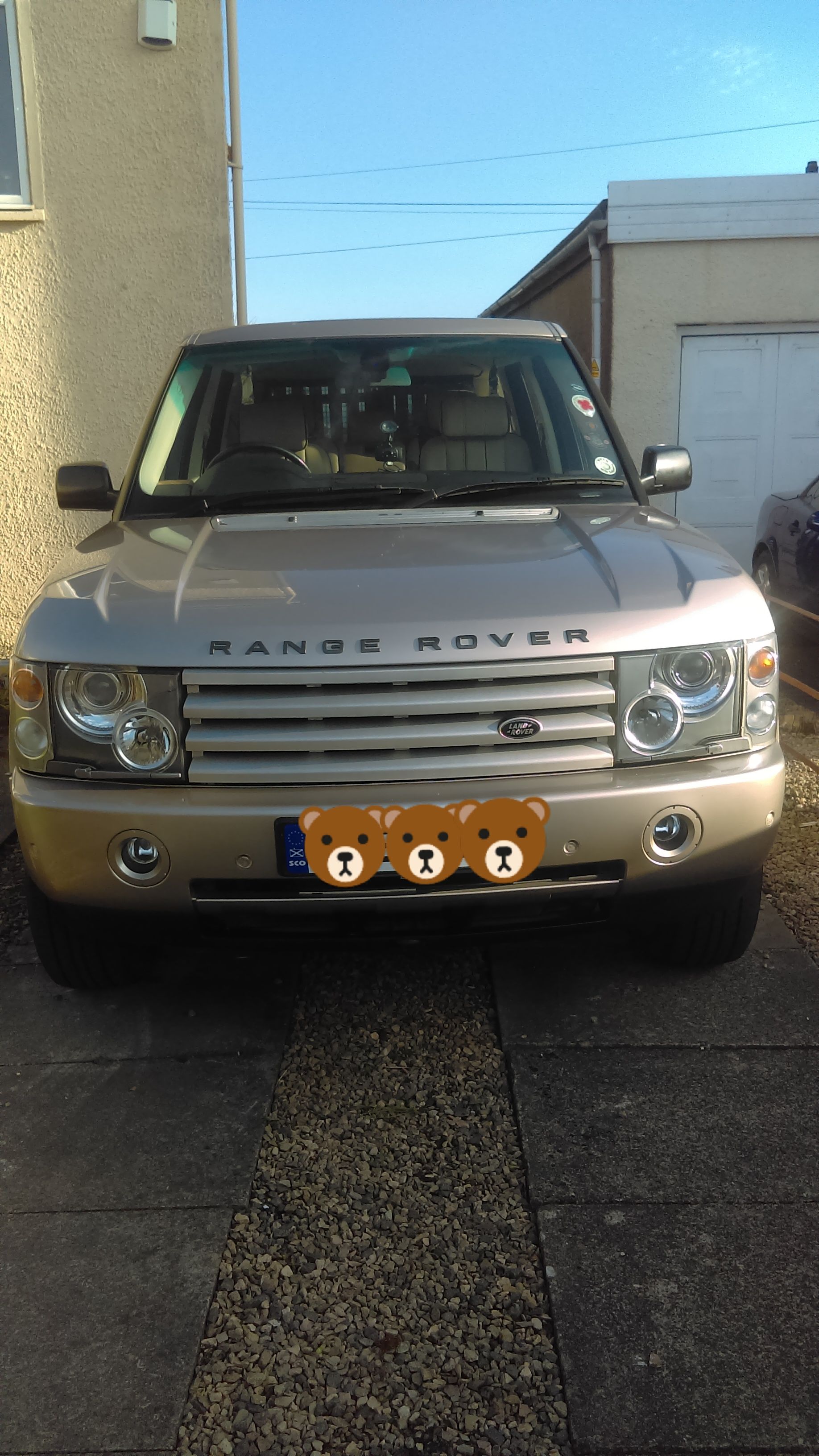 20180419_203116.jpg